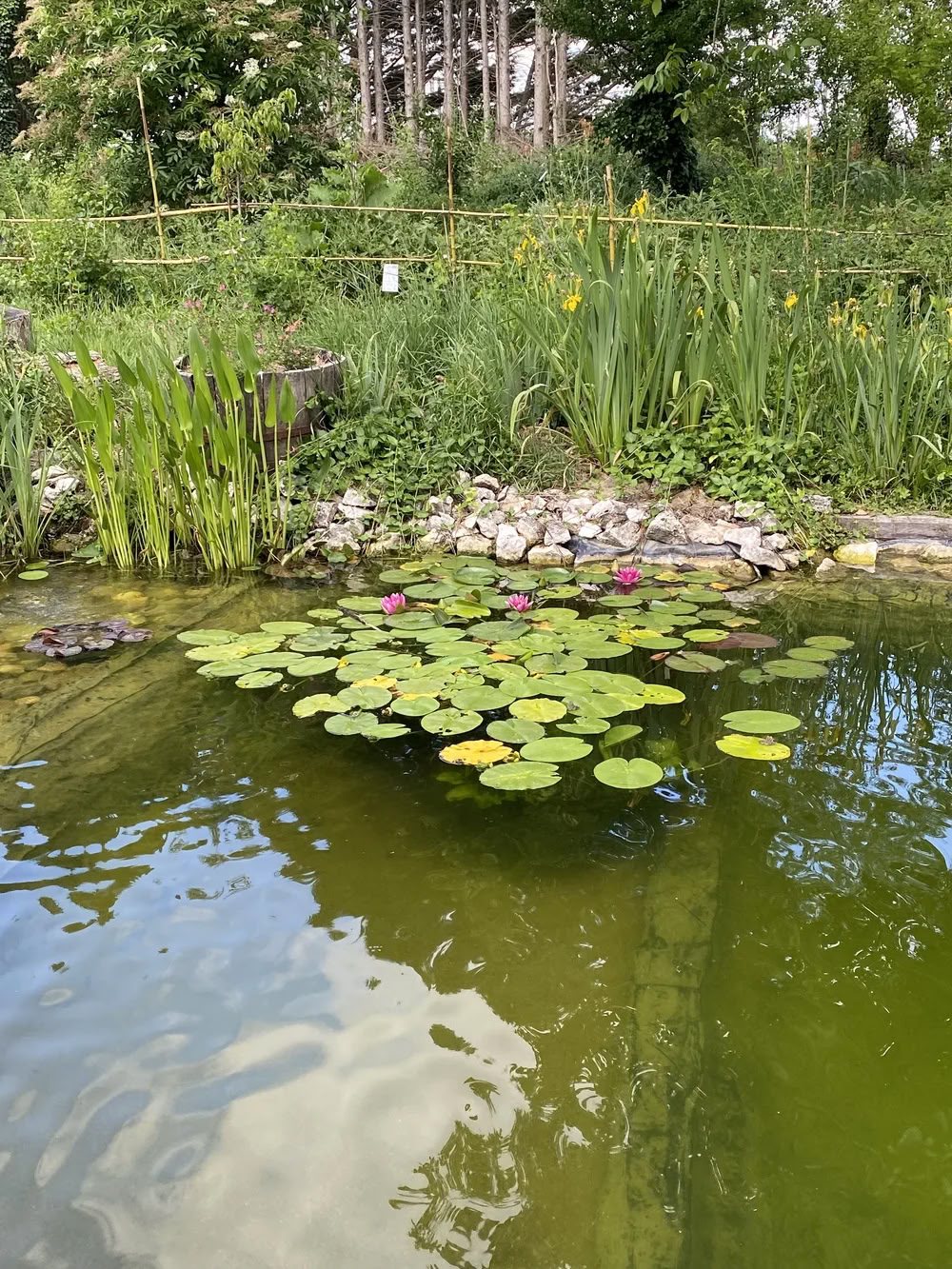 Eco Zwangerschapsretreat in Frankrijk met Partners
