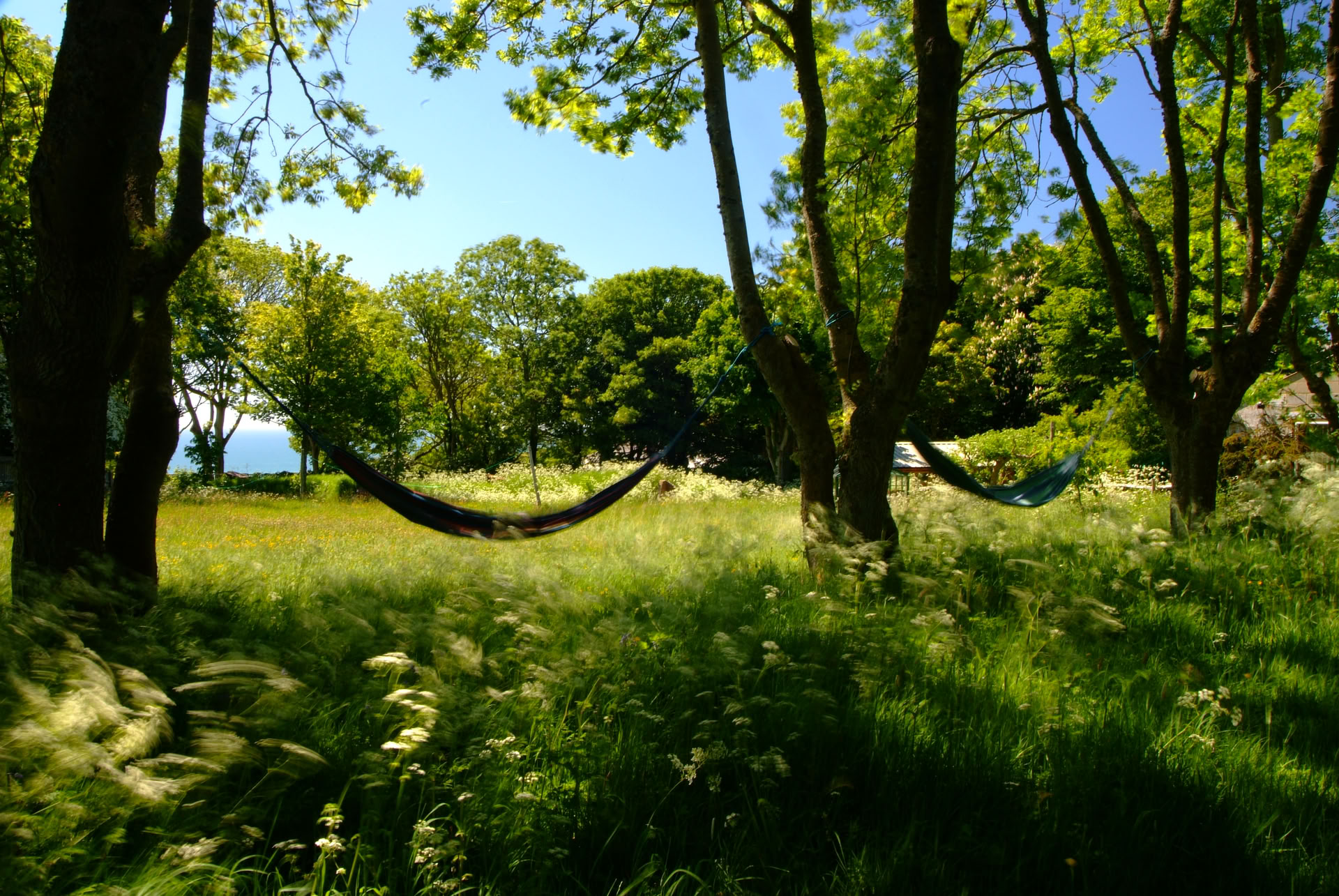 De Grote Chill-out