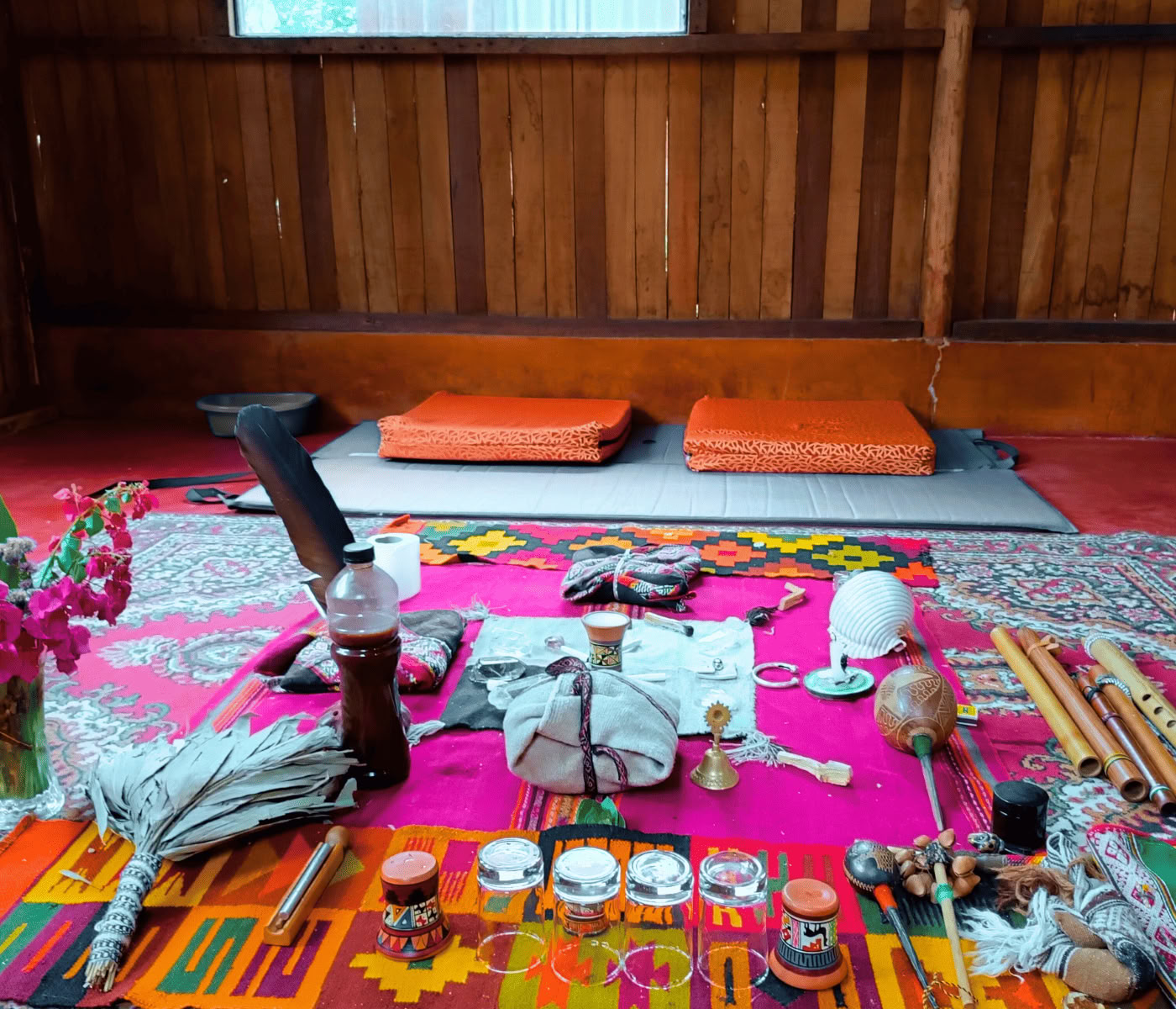 7 dagen ayahuasca-retraite + Machu Picchu