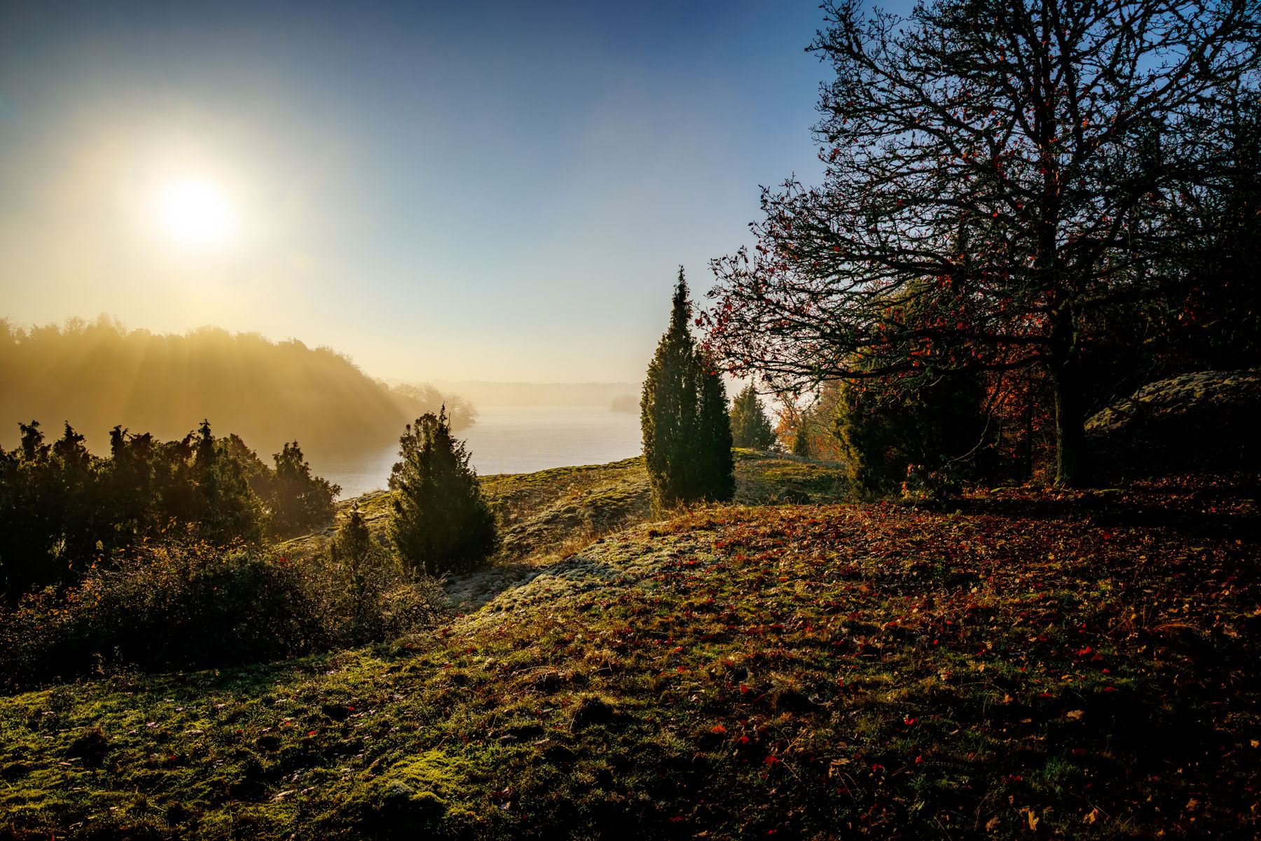 Solo-retreat standaard