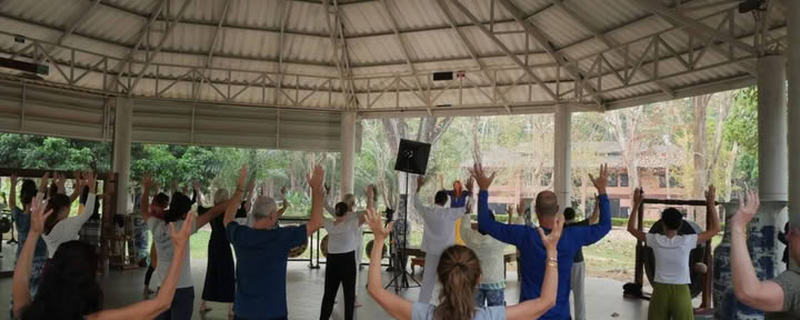 Inner Alchemie Qigong-serie Tao Garden 2026