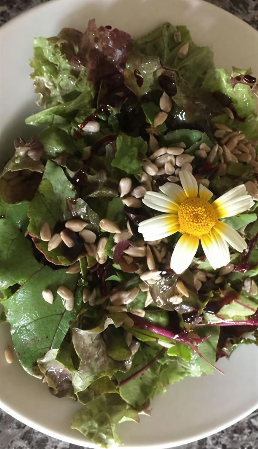7-daagse Ayurveda- en Yoga-herstelretreat in de Natuur