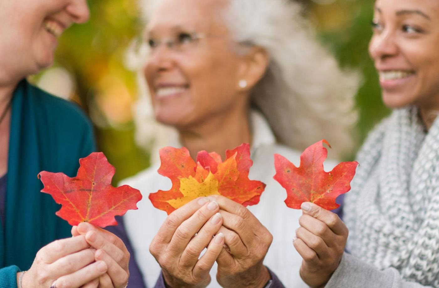 200 uur basisprincipes van Ayurveda
