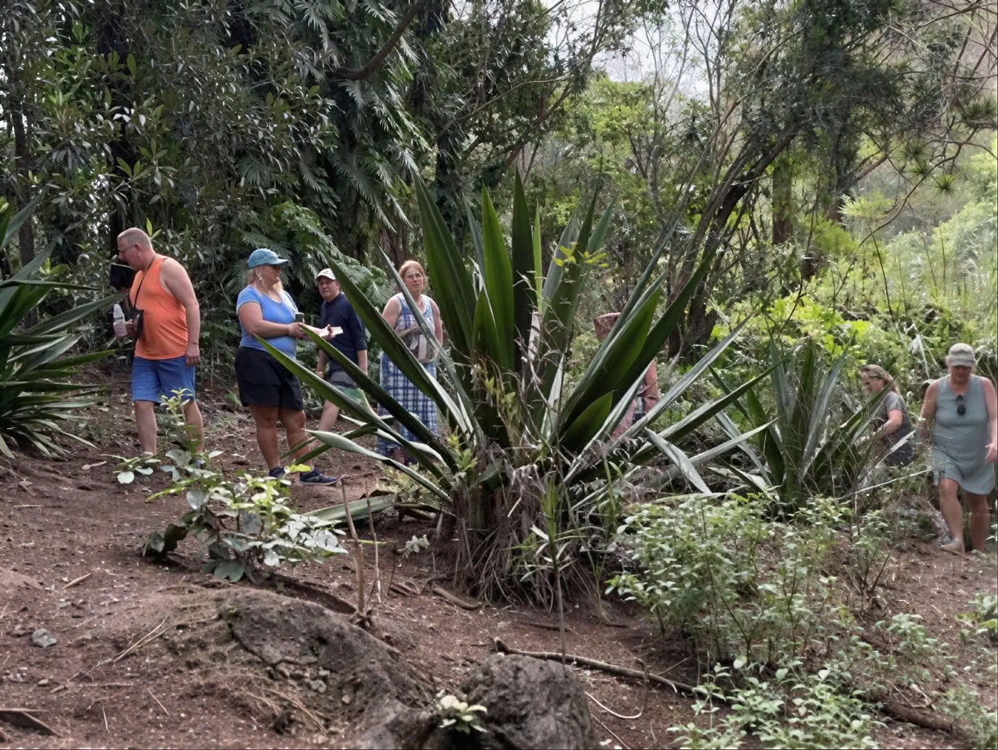 Heilige Tuin Kwekerijtour