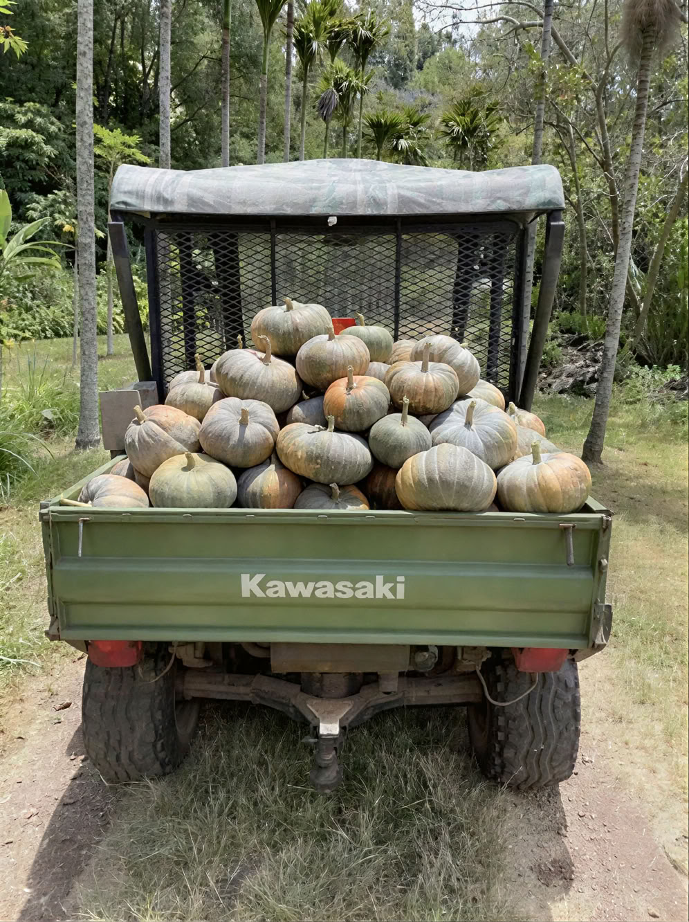 Heilige Tuin Kwekerijtour