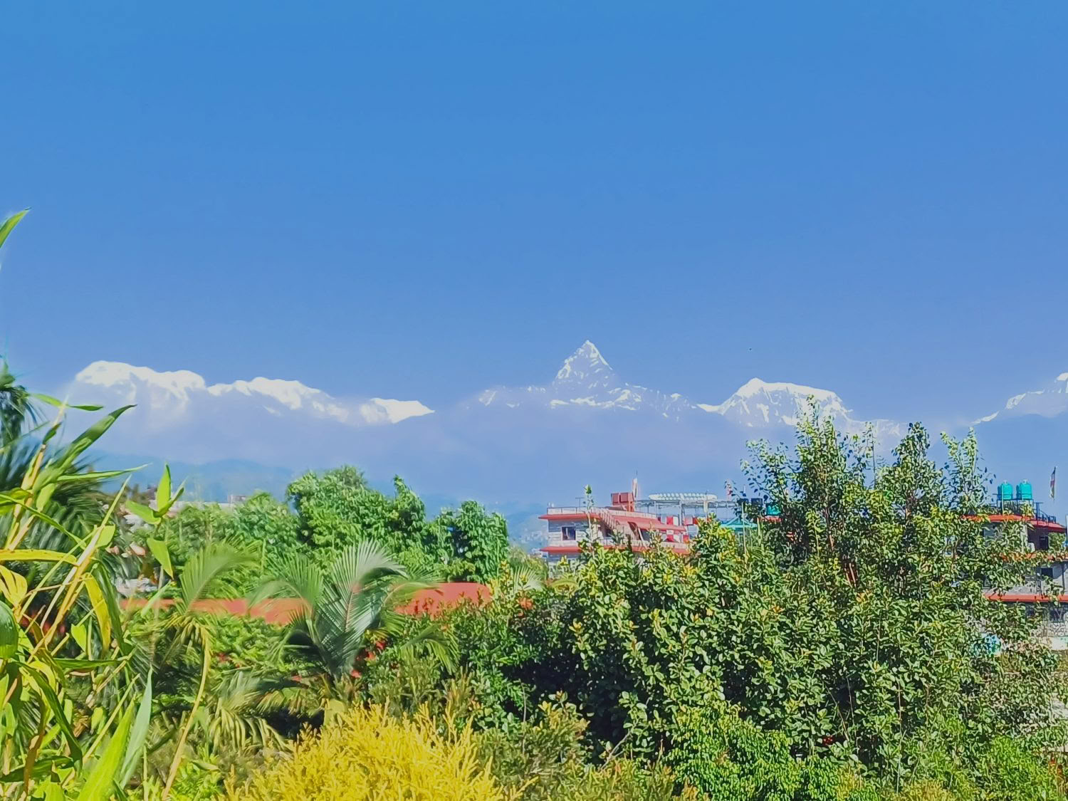 5 Nachten 6 Dagen Ayurvedische Wellness- en Spirituele Tour