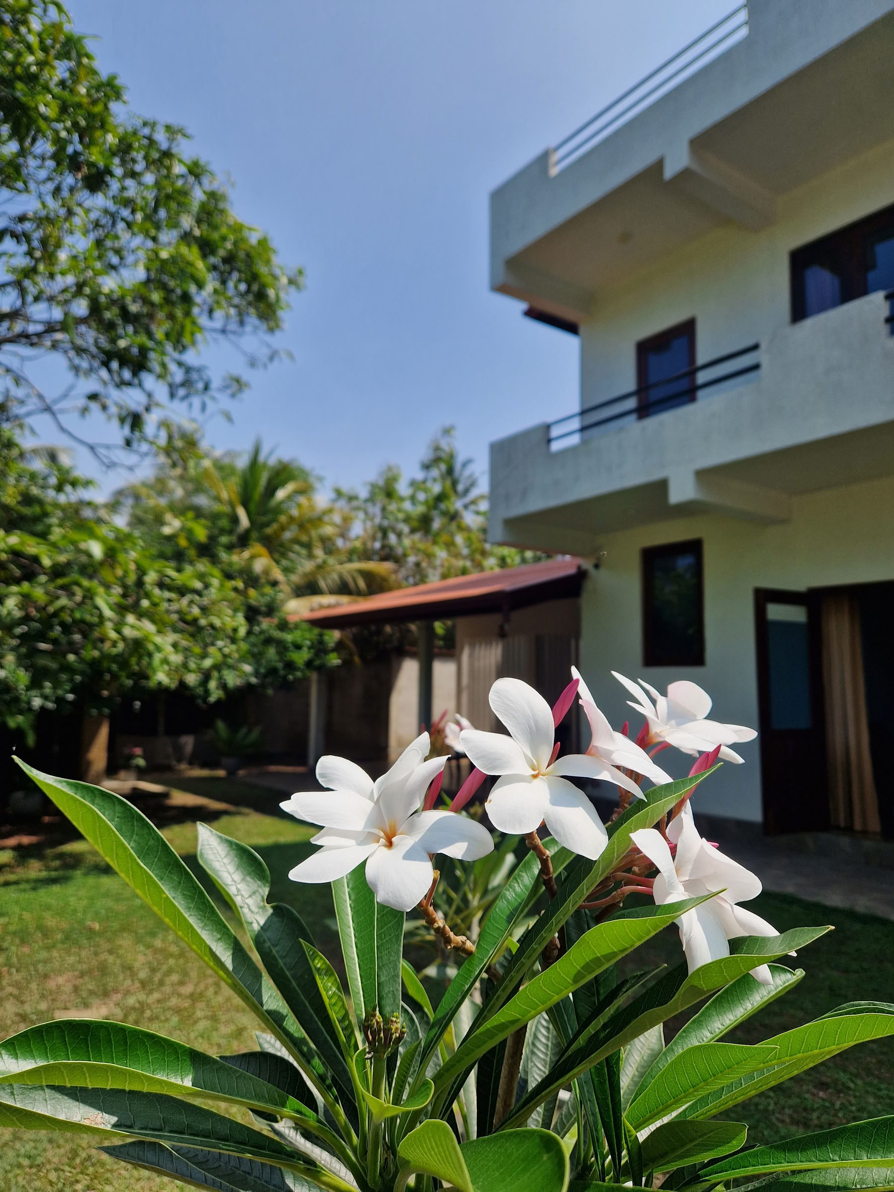 7-daagse reset van het zenuwstelsel, yoga- en meditatieretraite, Sri Lanka