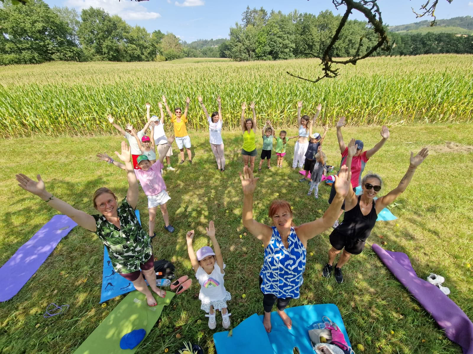 Karma-yogaprogramma