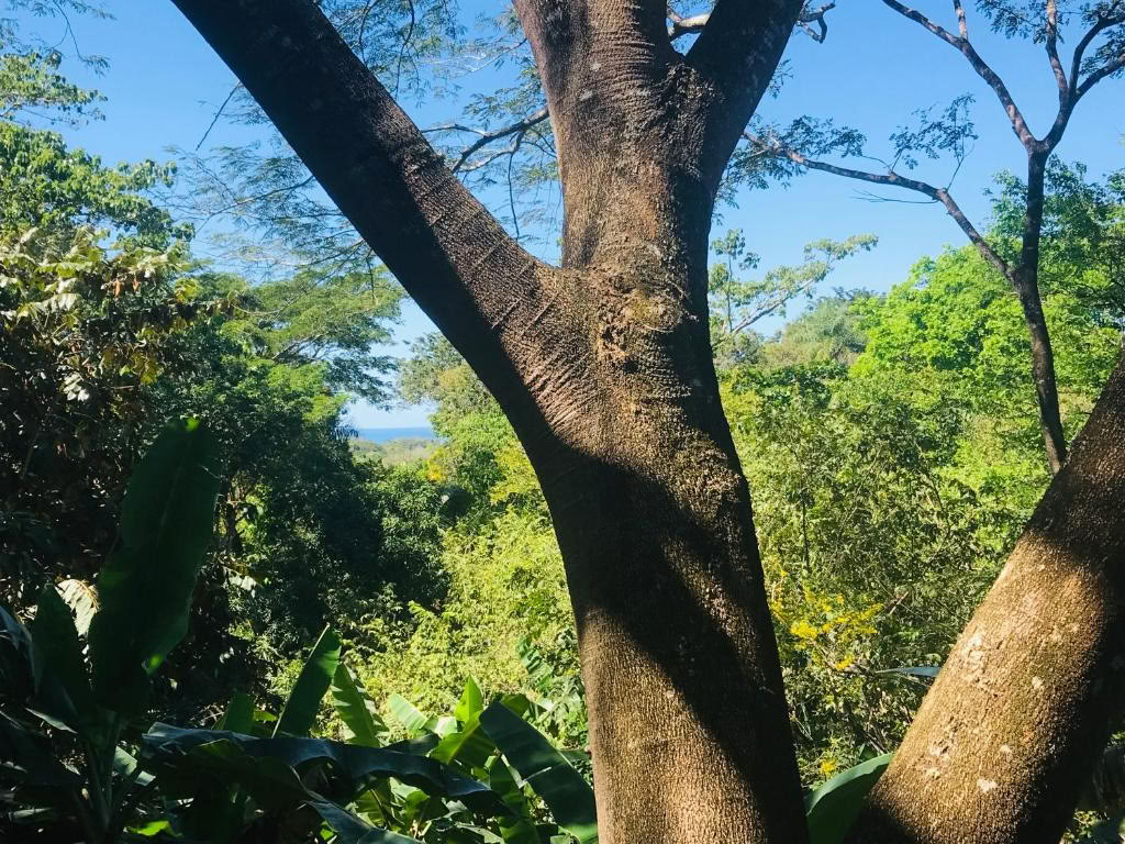 Ontspan, reset en herstel in Costa Rica