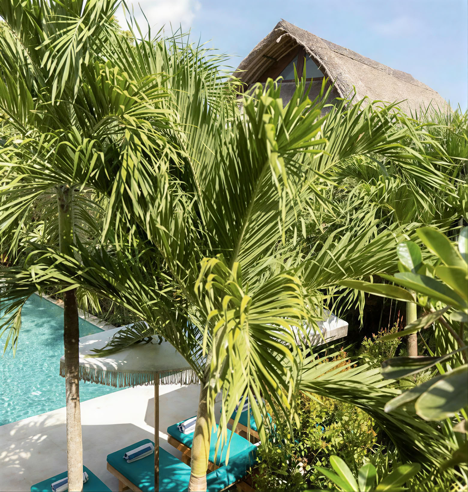 Niveau 2 Bali 300-uur cursus