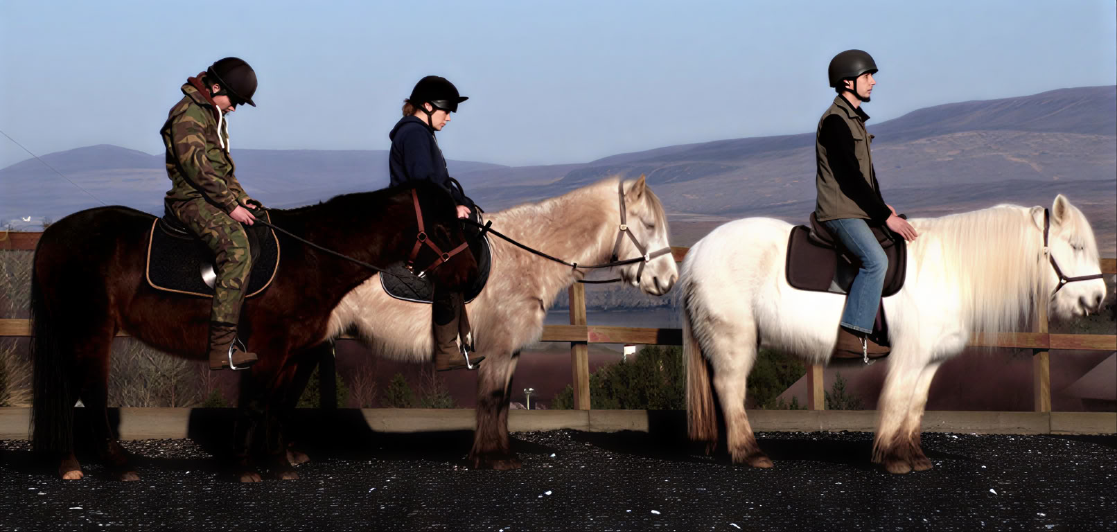 Paardenmeditatie