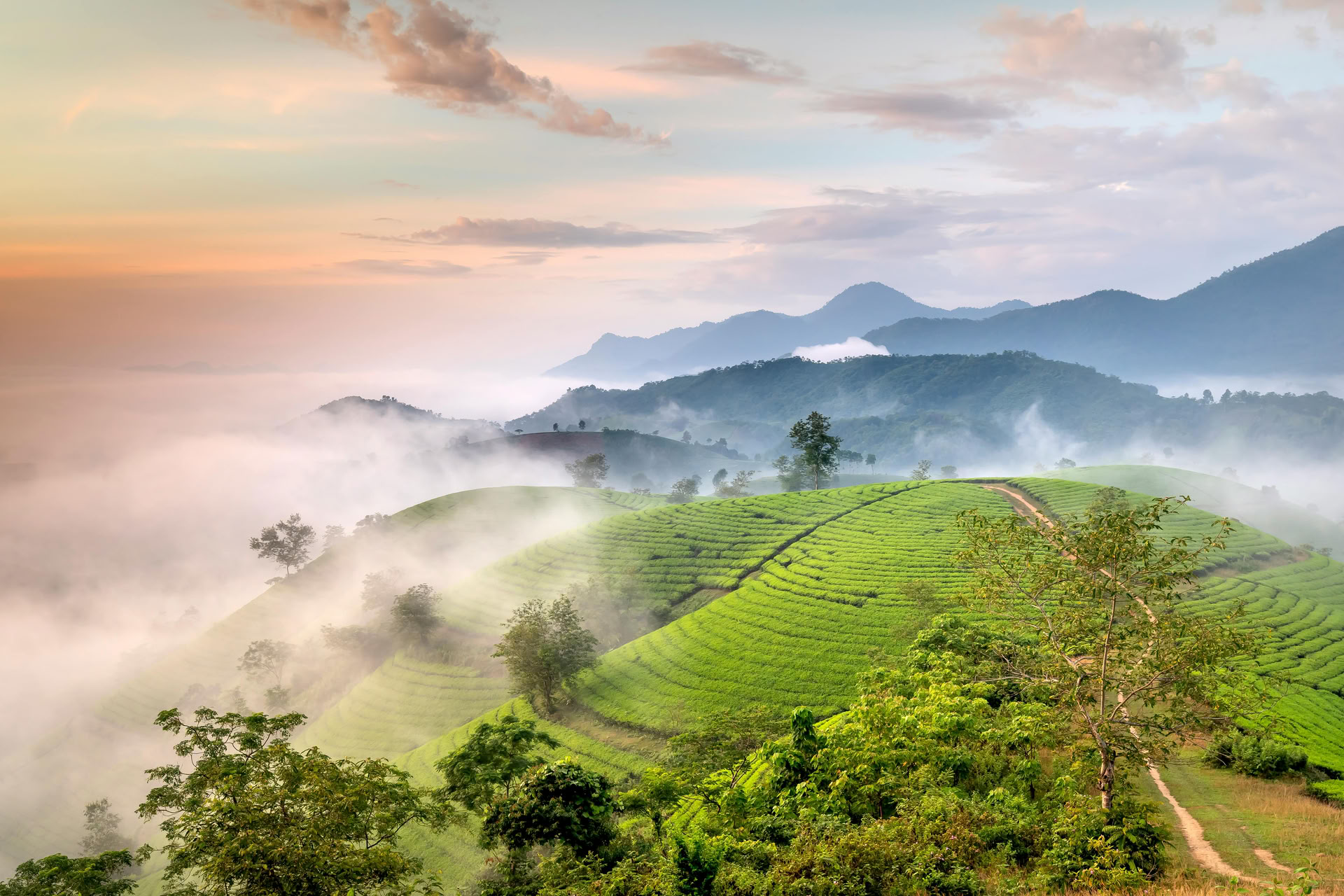 Panchakarma-retraite in Kerala