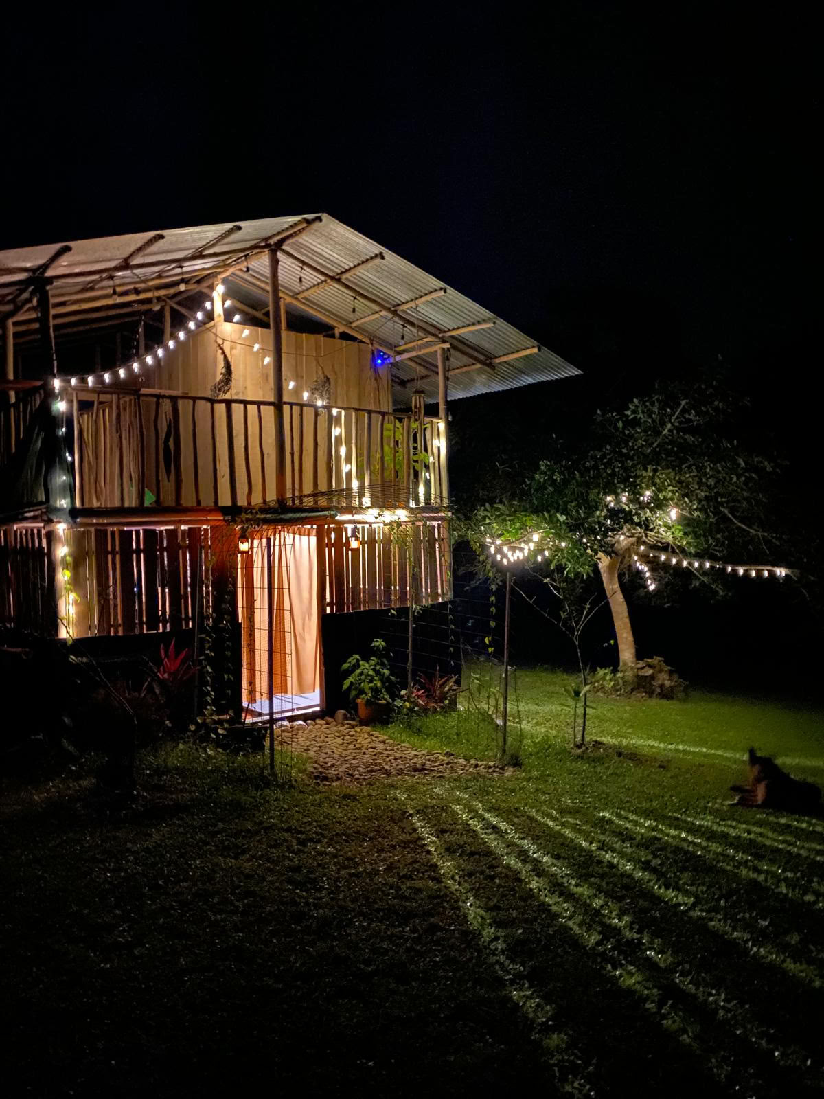 Privé psilocybine-retraite Costa Rica