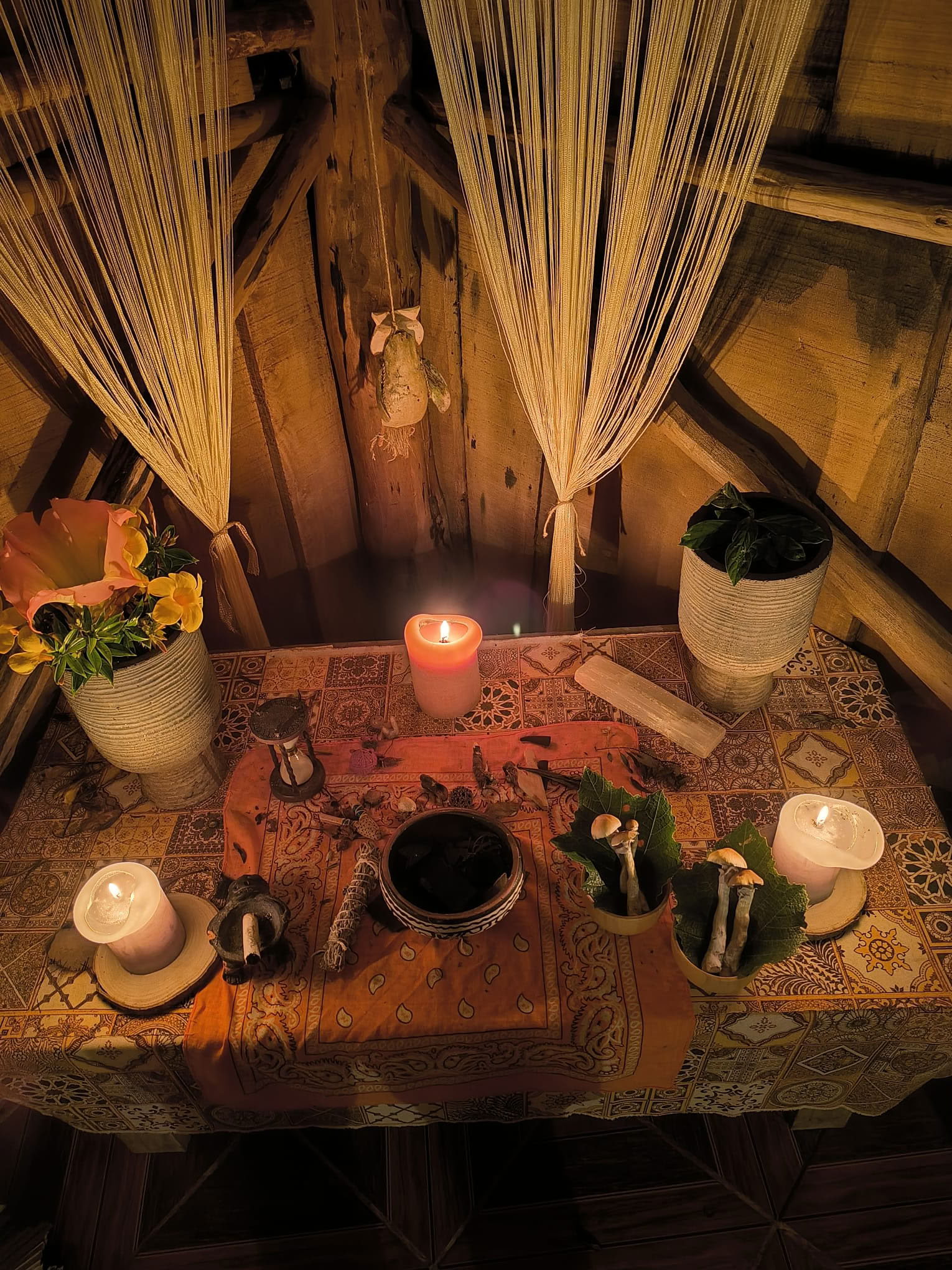 Privé psilocybineceremonie in Costa Rica