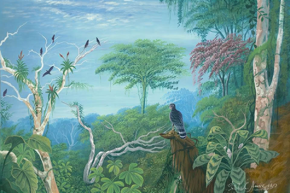 2–7 februari 2027 | kampeerervaring in het regenwoud van Cocoterra, Costa Rica