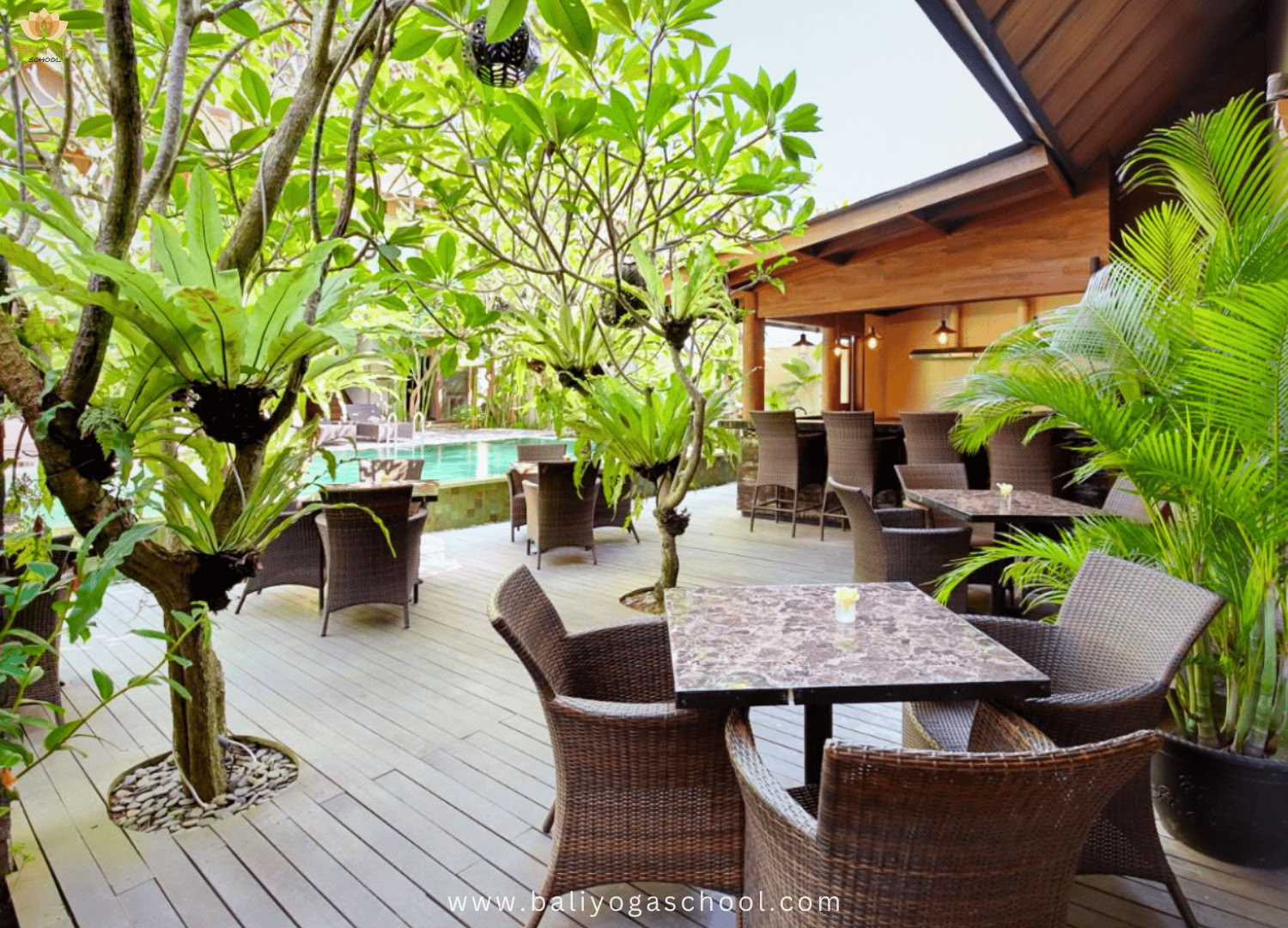 50 / 100 / 200 uur yoga-lerarenopleiding in Ubud & Uluwatu