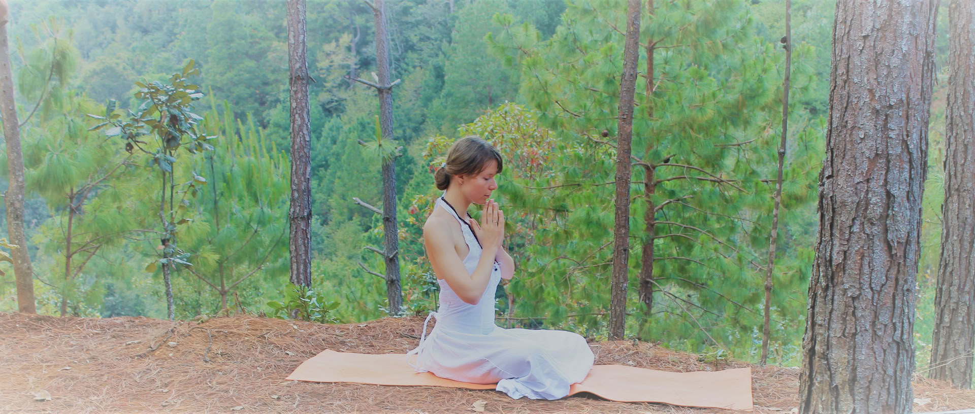 3-daagse stille Hridaya-meditatieretraite