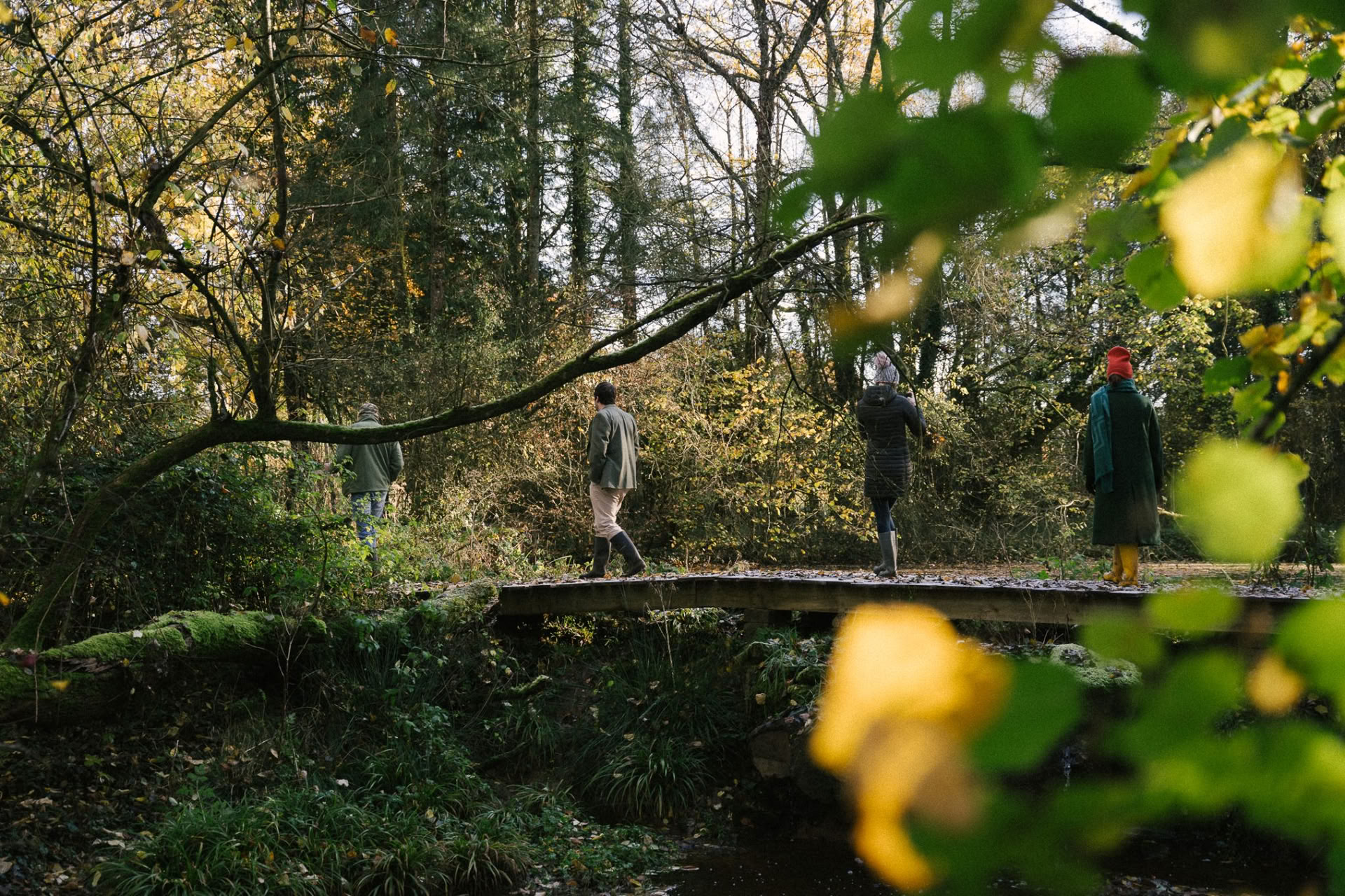 Begeleide herwilderingswandeling