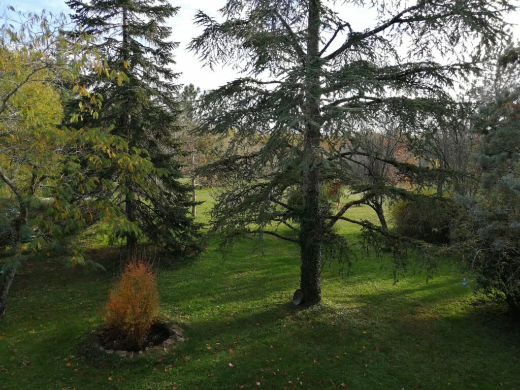 Yoga- en meditatieretraite in Zuid-Frankrijk