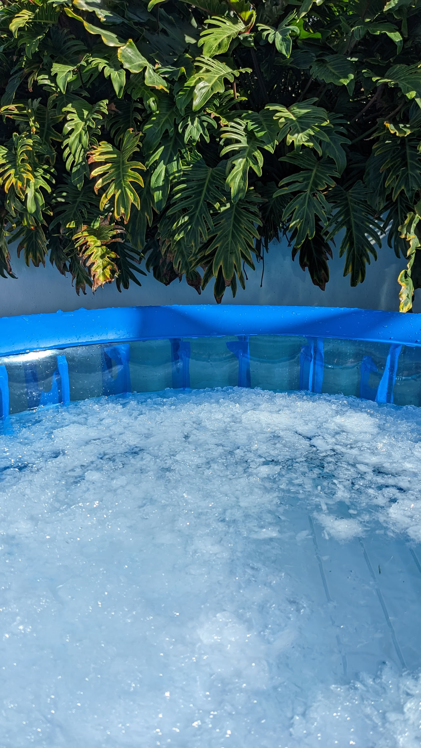 Wim Hof-methode Fuerteventura