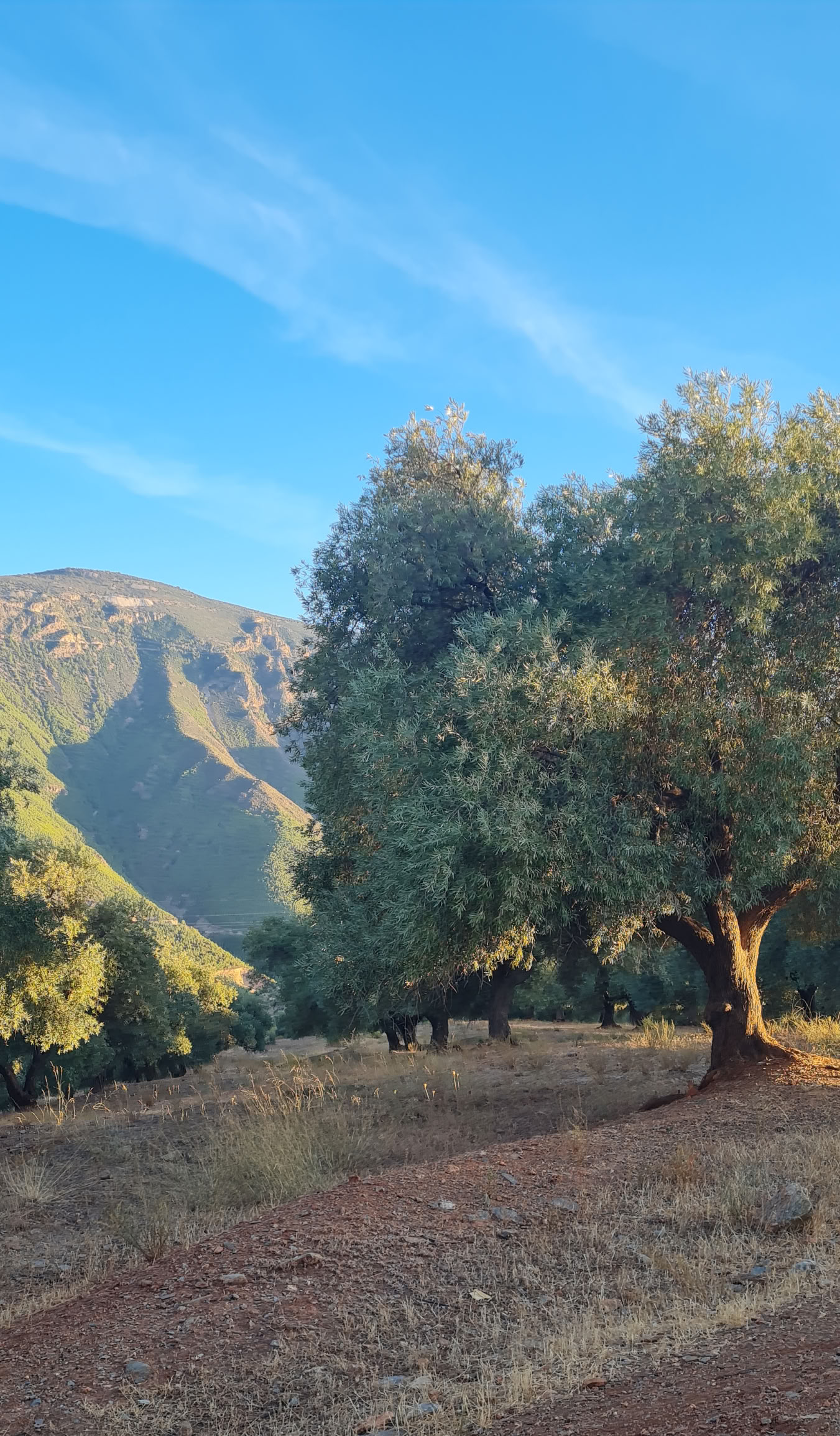 Yoga-retraite in Spanje