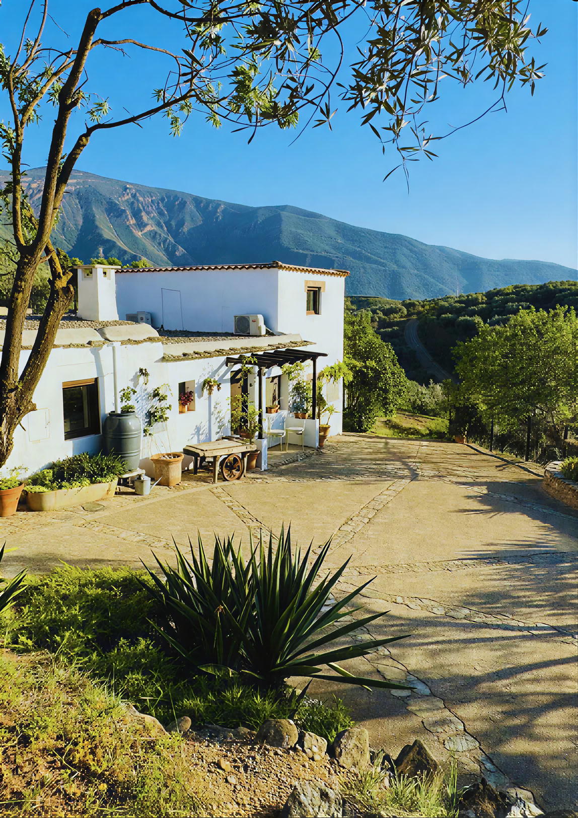 Yoga-retraite in Spanje