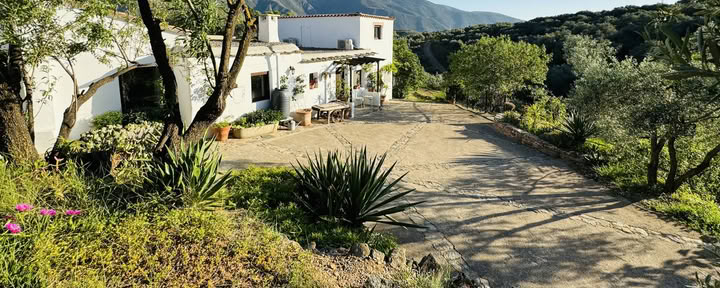 Yoga-retraite in Spanje