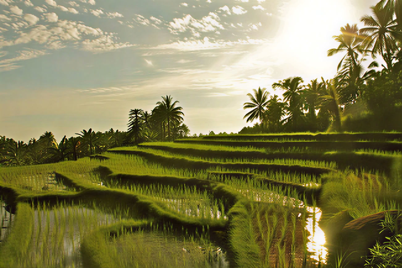 Balinese yogaretraite