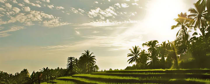 Balinese yogaretraite