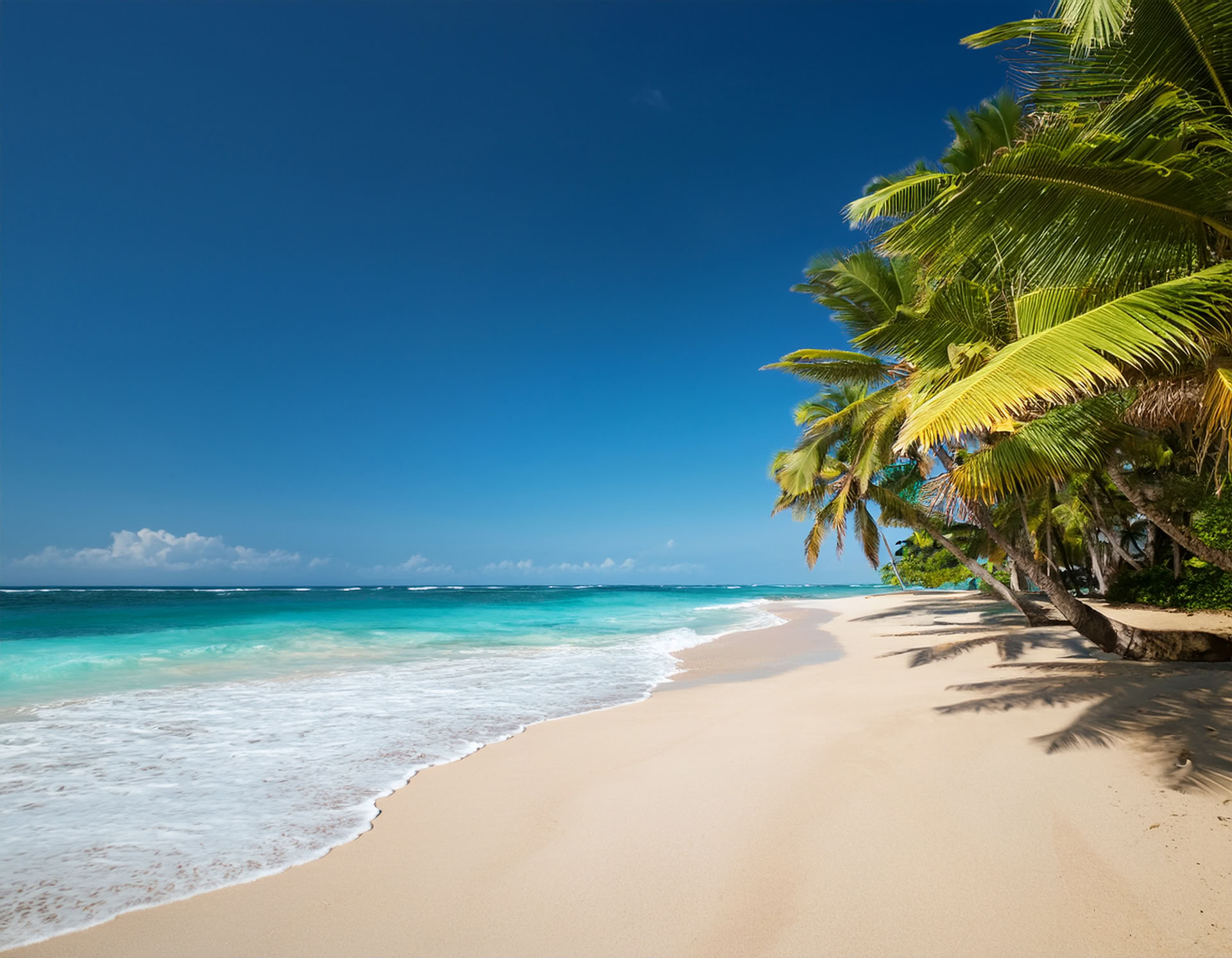 Retraite aan Diani Beach, Kenia