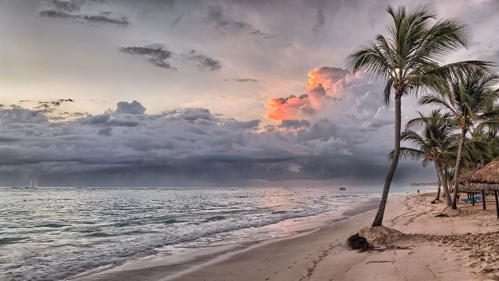 Retraite aan Diani Beach, Kenia