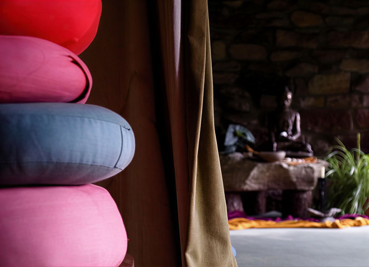 Zen Mindfulness-docentenopleiding