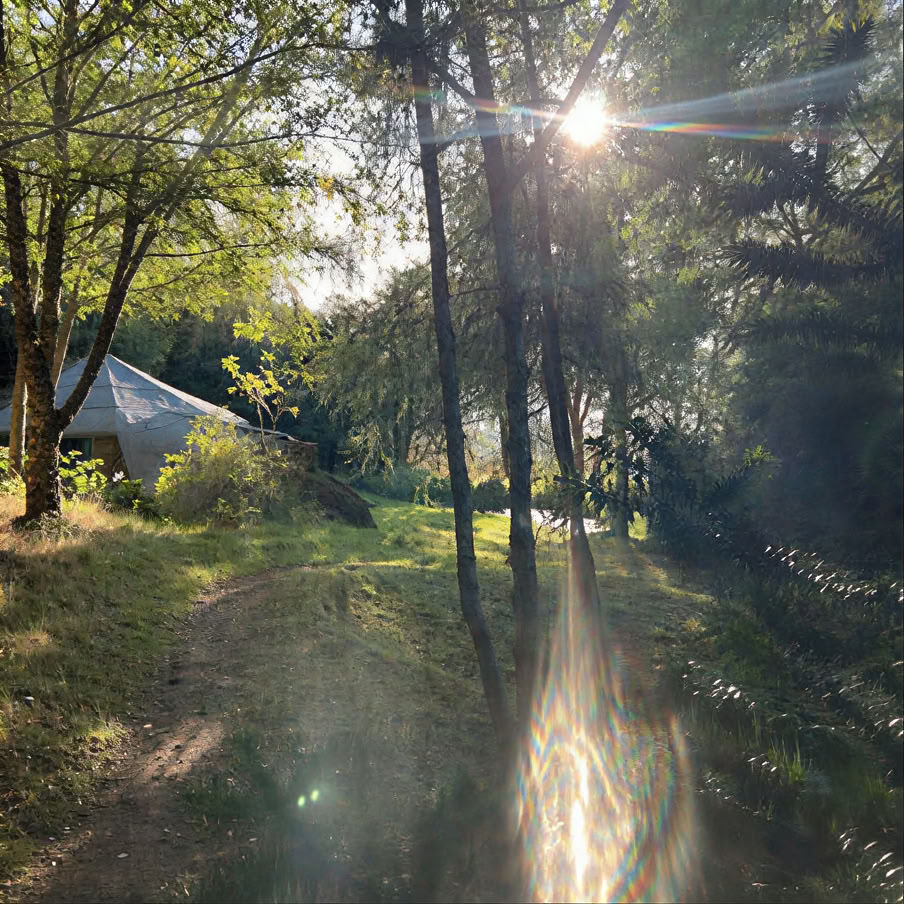 Zen Mindfulness-docentenopleiding