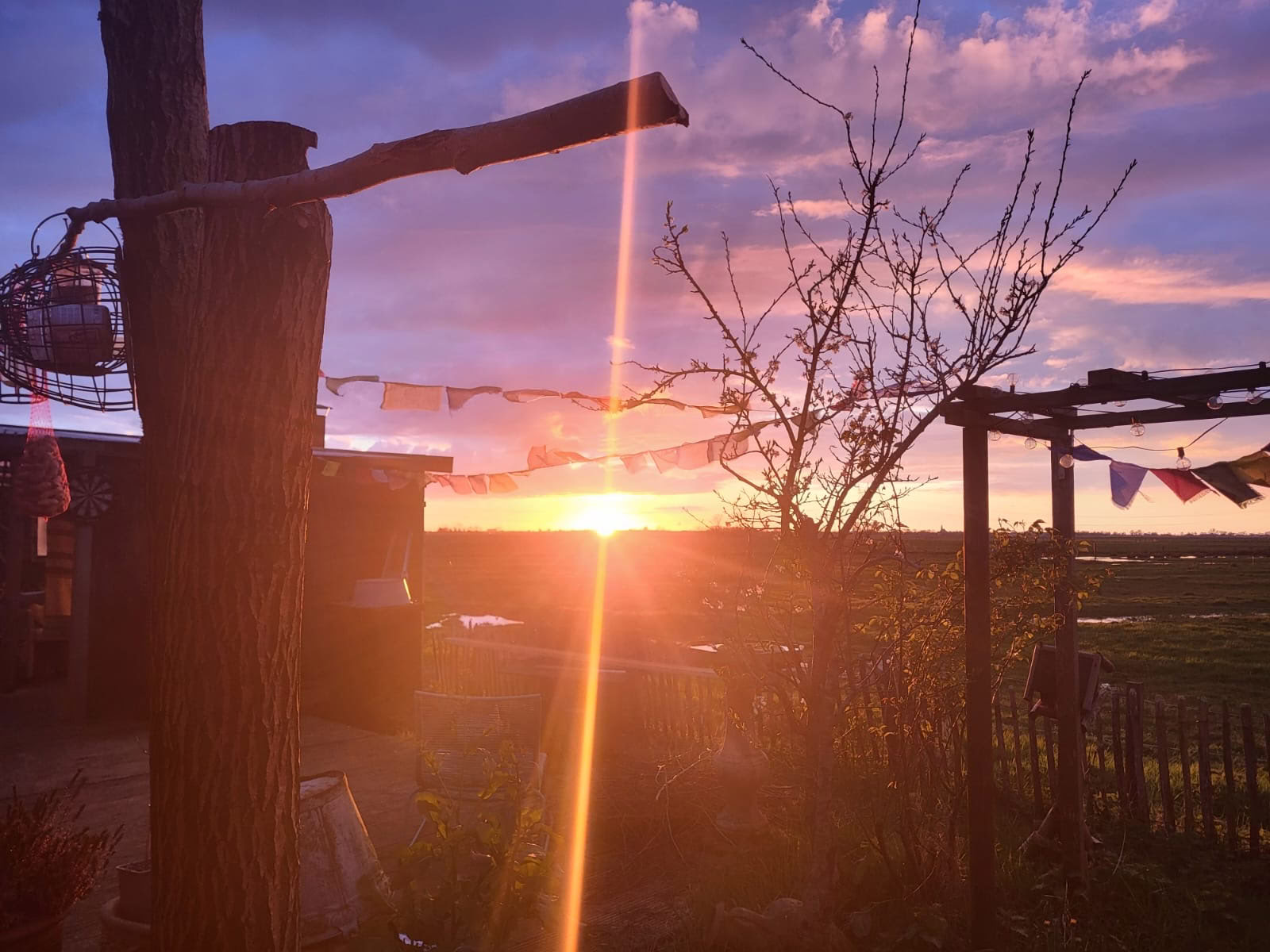 3-daagse ayahuasca-retreat