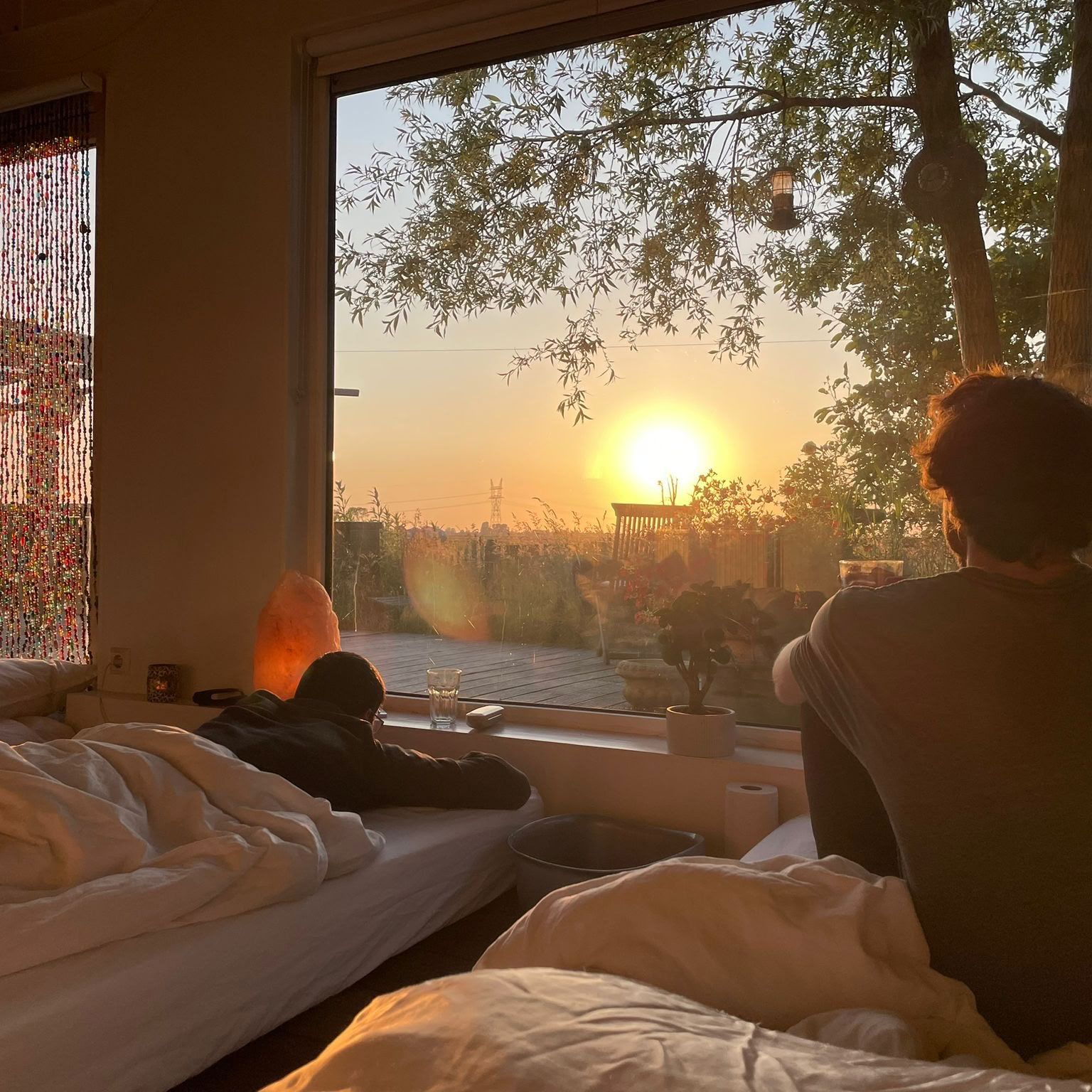 3-daagse ayahuasca-retreat