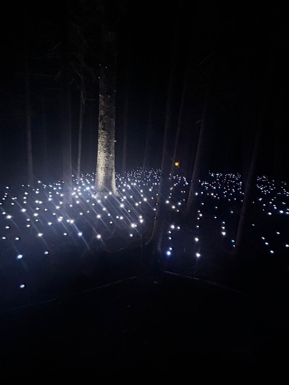 De Akadi Lumina Glamping-ervaring