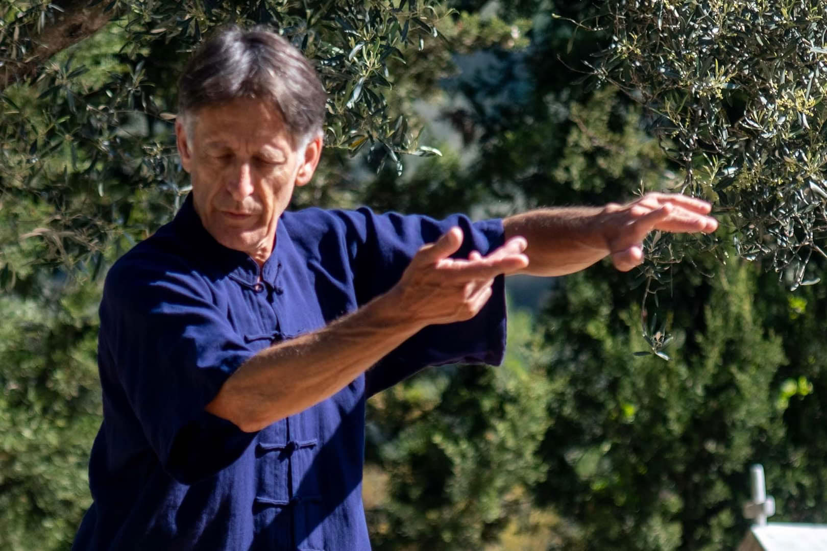 Tai Chi Qigong-retreat