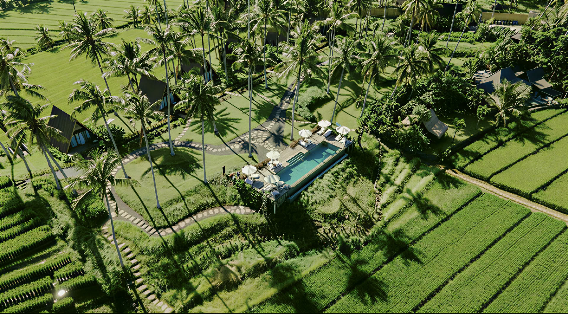 Yoga, Natuur & Balinese Cultuur Retreat