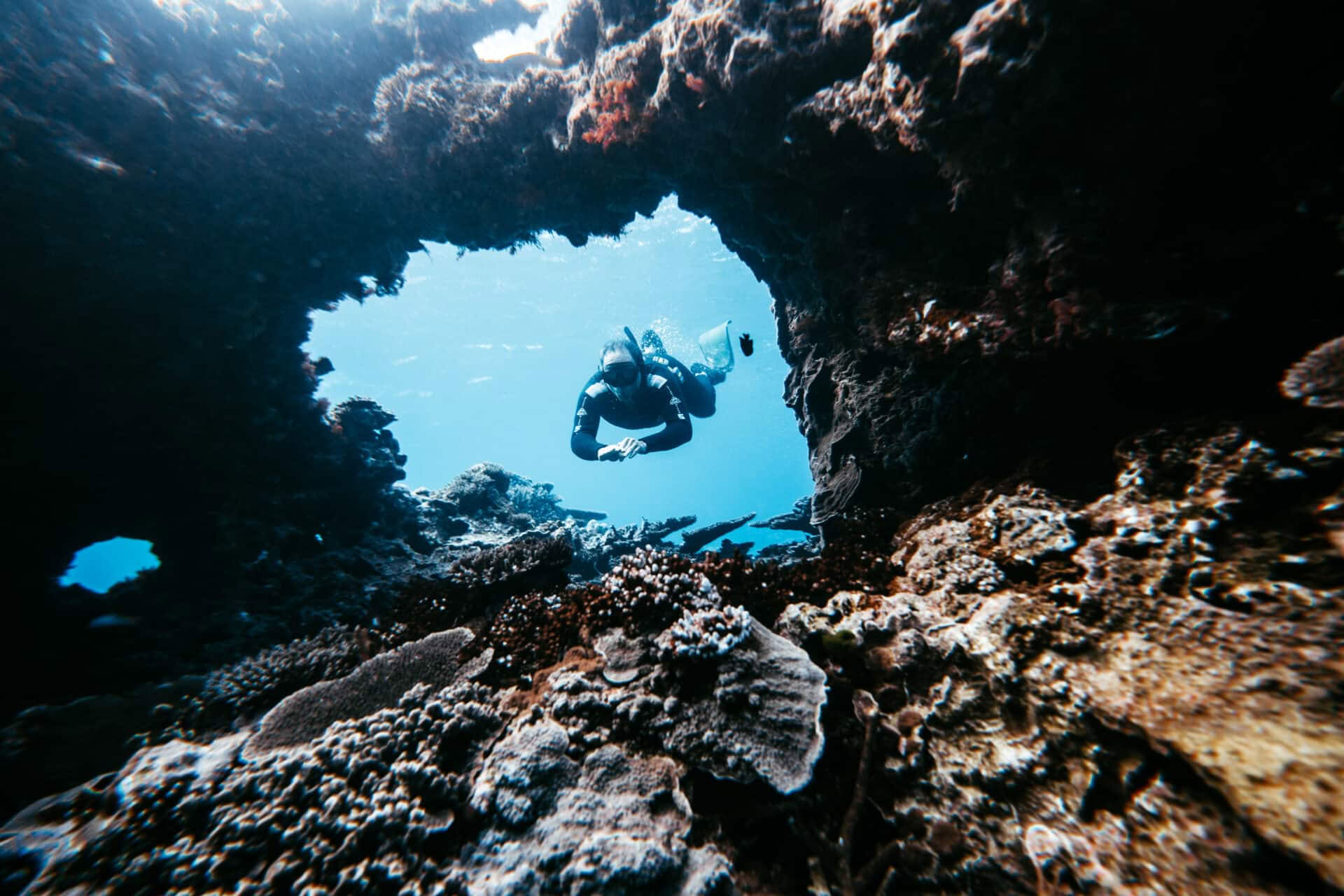 Lady Elliot Island Freediving & Alleen voor Breathless-instructeurs
