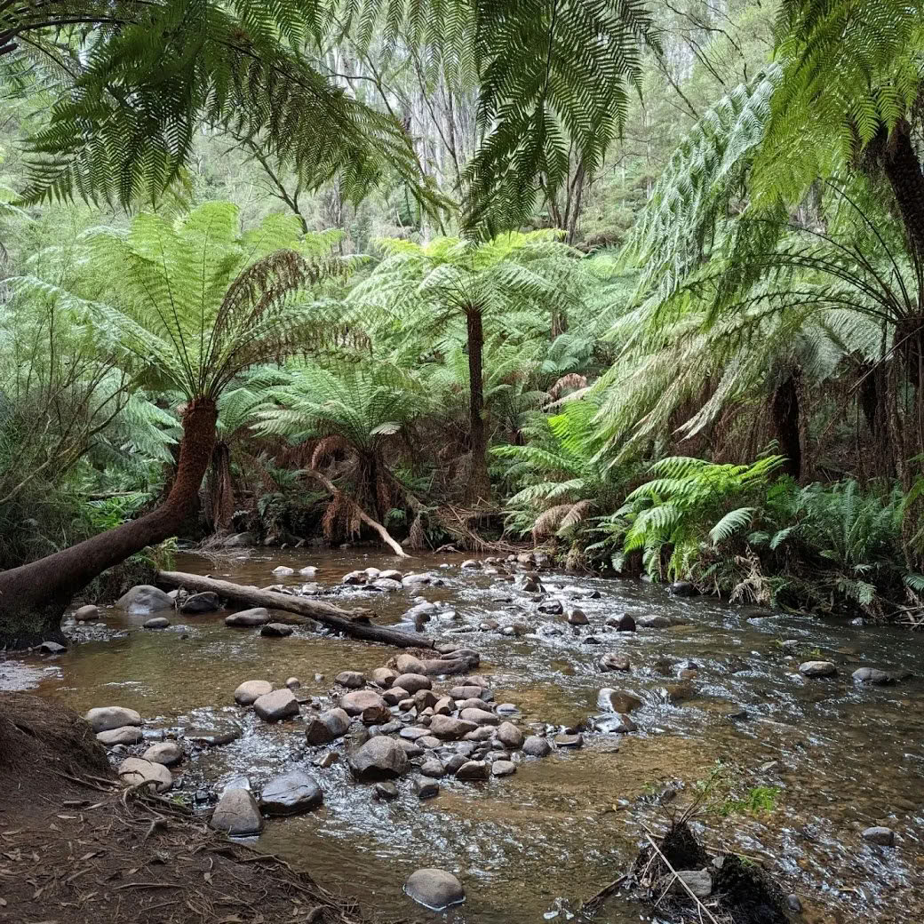 Overnachtingsretreat in Warburton
