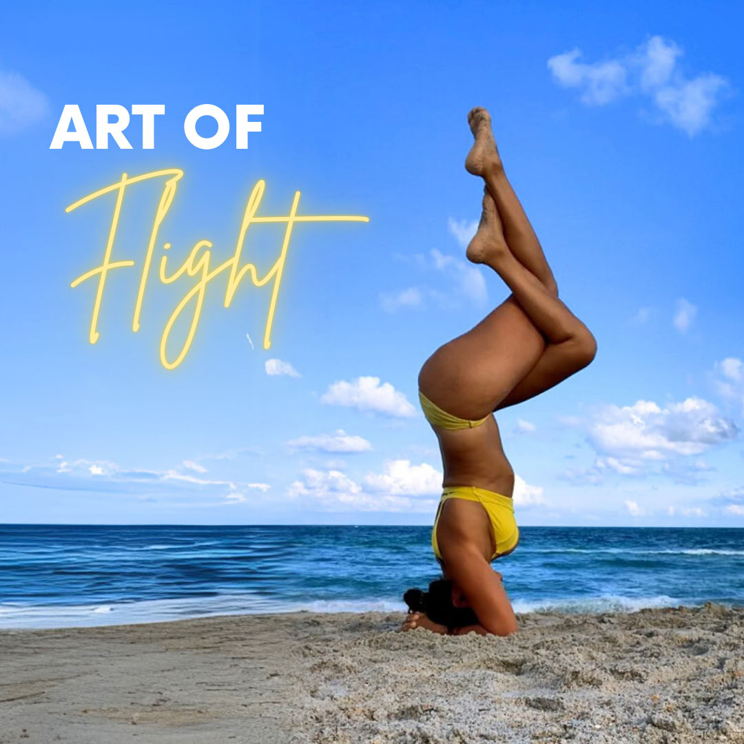300-uurs YTT | Chakra Flow University – Hands-on Assists & Toegankelijke Yoga