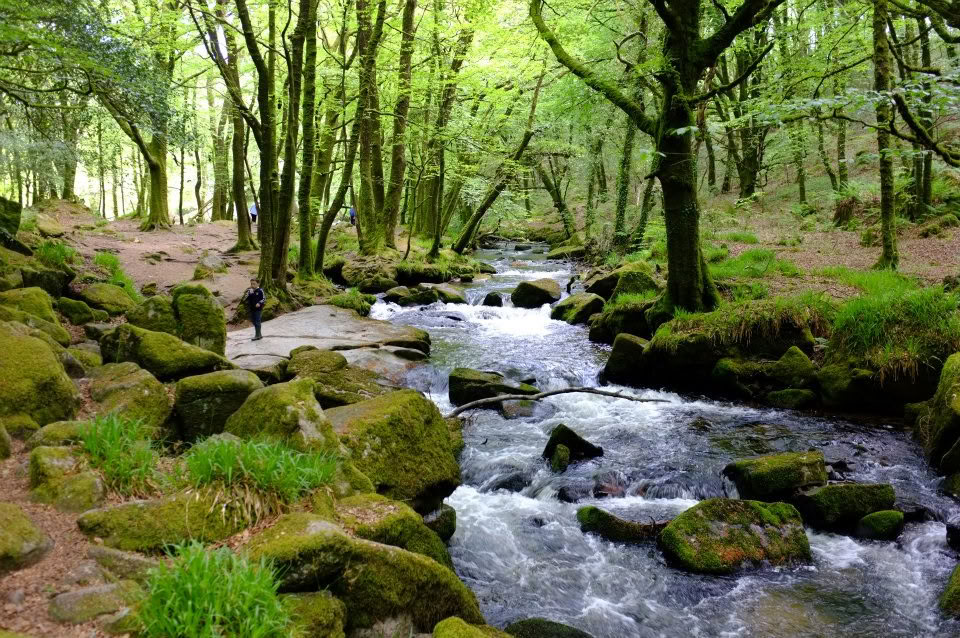 5-daagse meditatie- en mindfulnessretraite