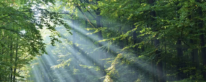 Engelenkaartenlezing & Reiki-healing