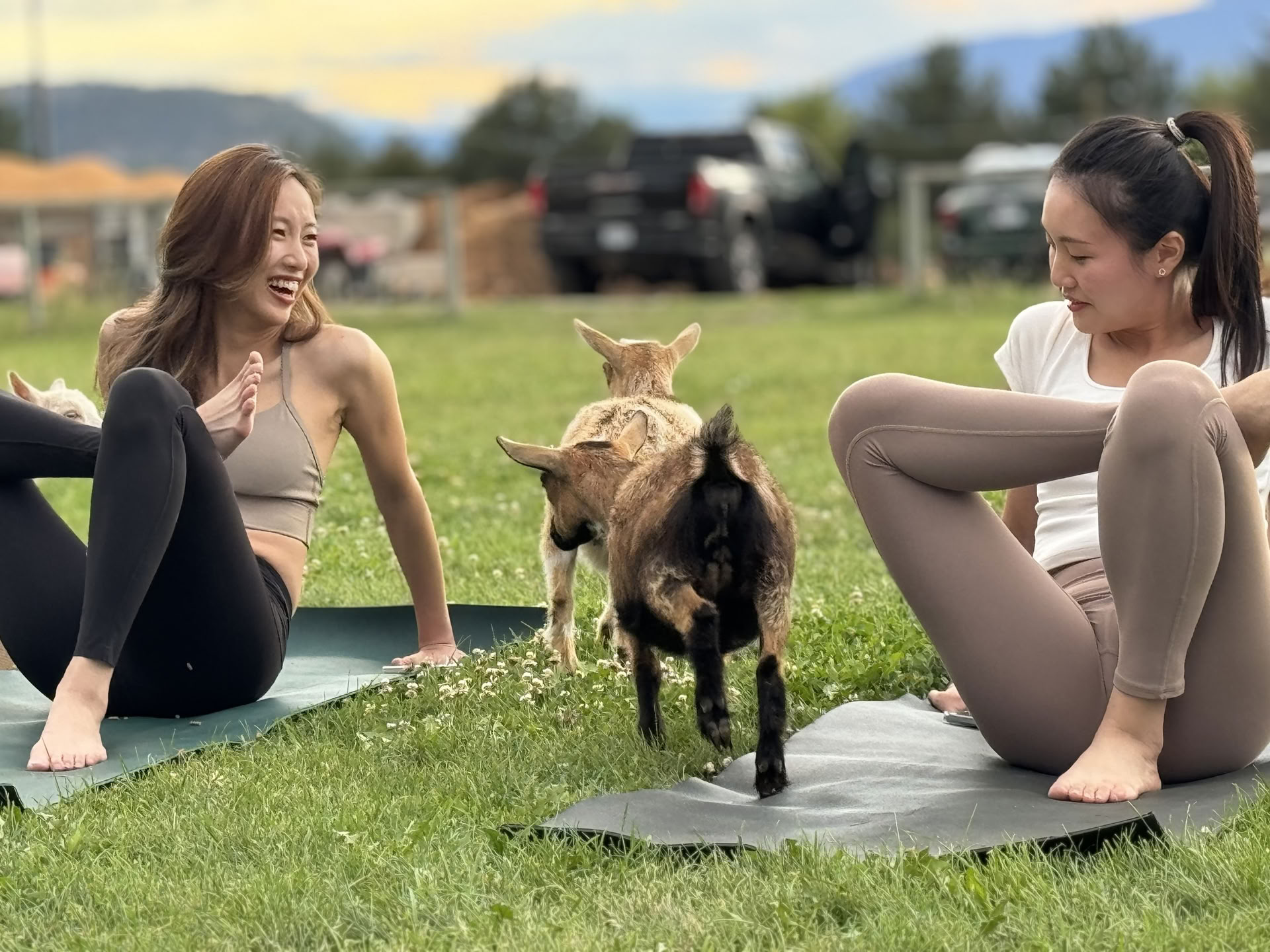 Dockside Flow: Yoga & Meditatie aan het Okanaganmeer!