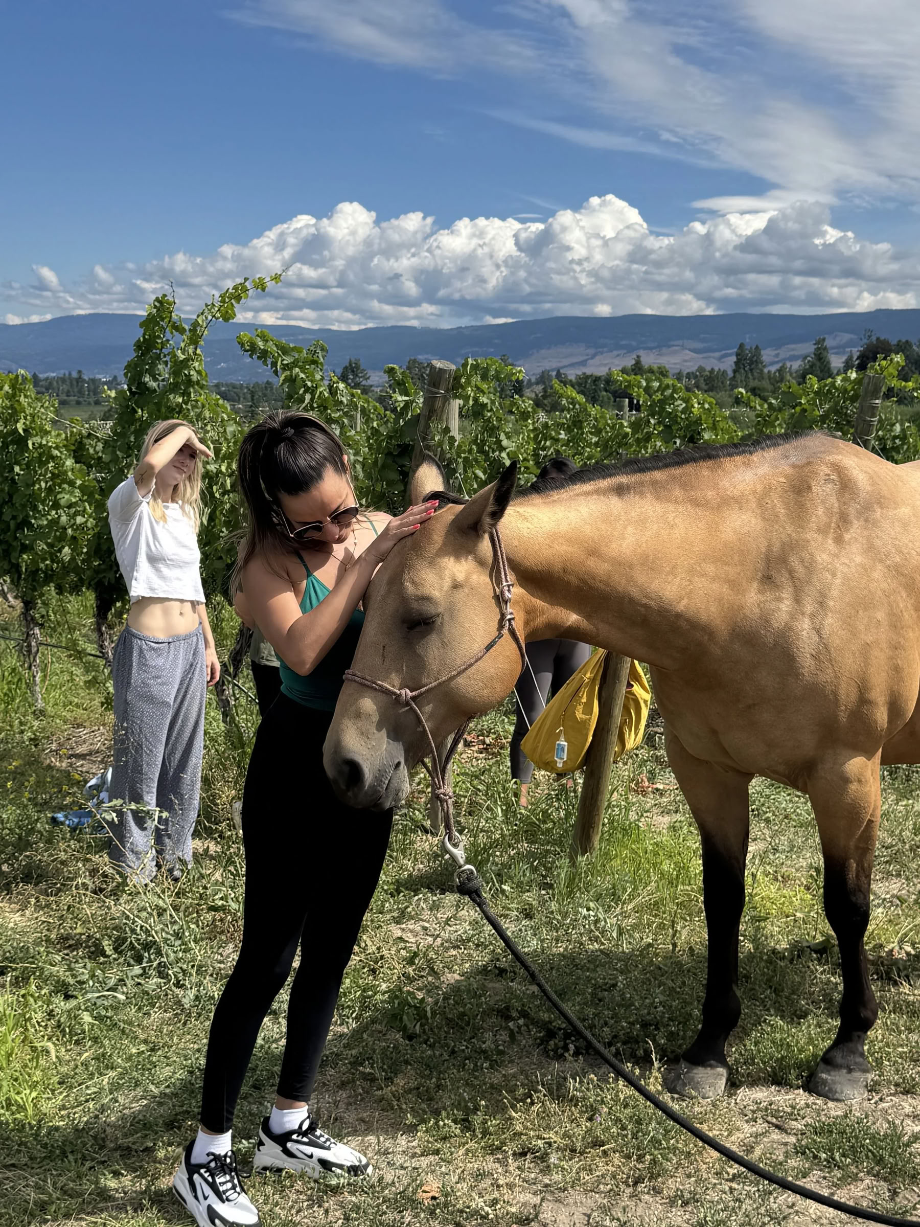 Goddelijke Dolce Vita: Luxe yogaretreat in het hart van Toscane