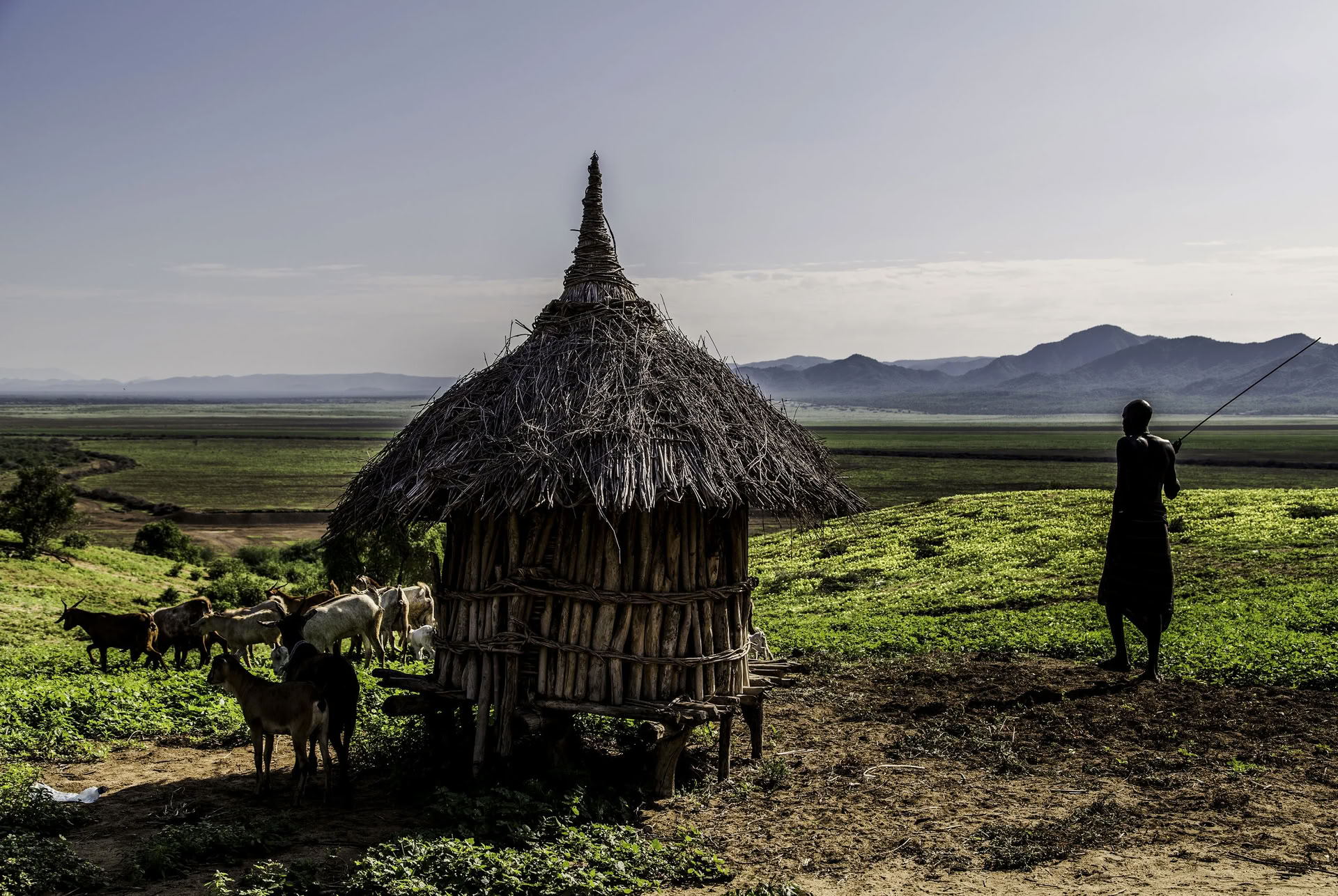 Trektocht door Noord-Ethiopië naar het Simiengebergte