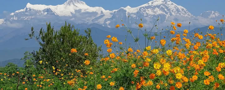 Annapurna-basiskamp