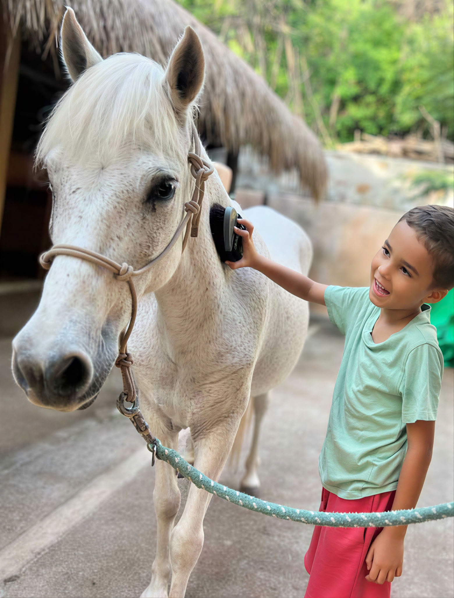 Paardenexcursie voor kinderen