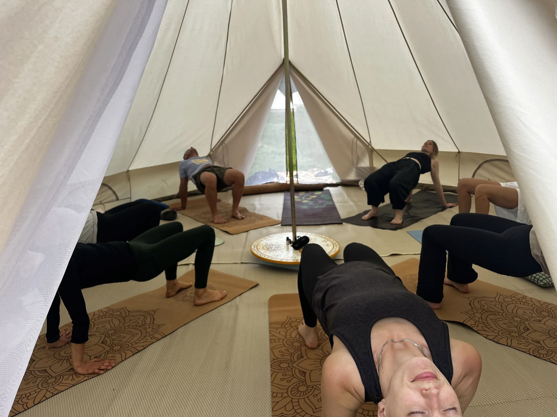 Willowbrook Glamping — enwild retraite