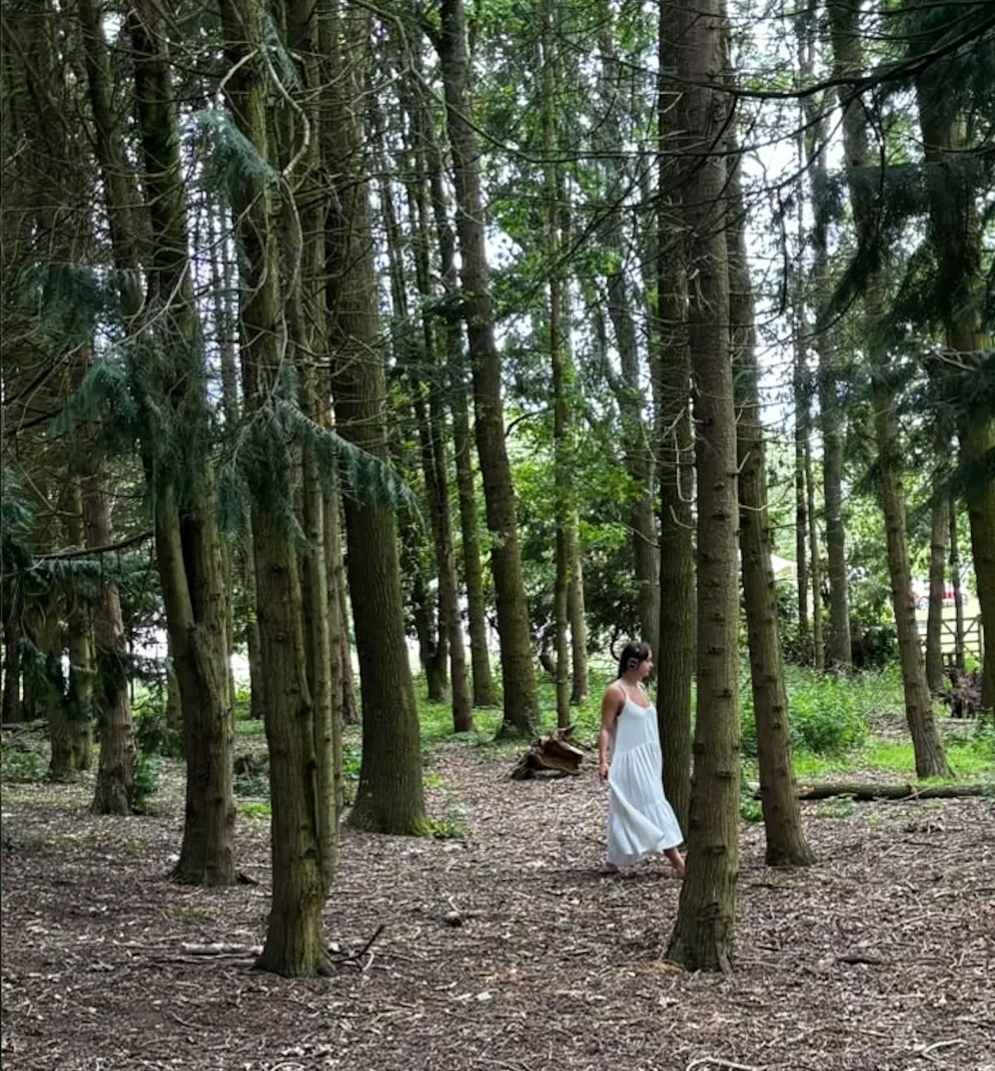 Zelfzorgretreat - Een 3-daagse reset voor lichaam, geest en ziel